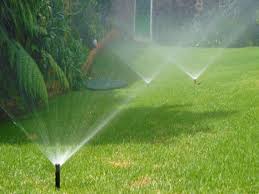 Trabajo de jardinería