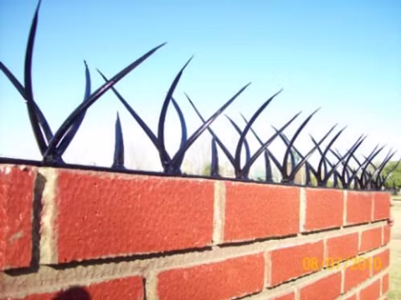 Instalación de cámaras